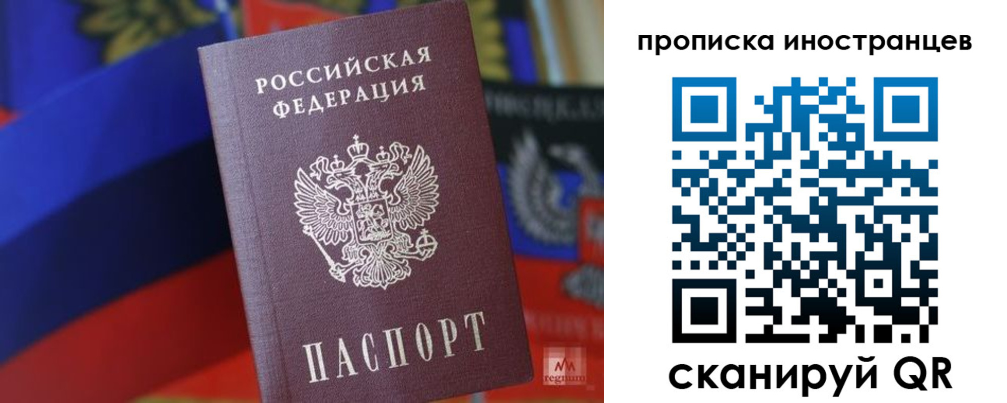 прописка законно в Нелидово